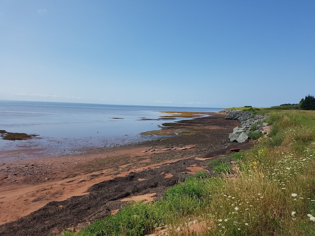 Ocean-Side Cottages | Ocean Side Ln, Point Prim, PE C0A 1A0, Canada | Phone: (902) 659-2284