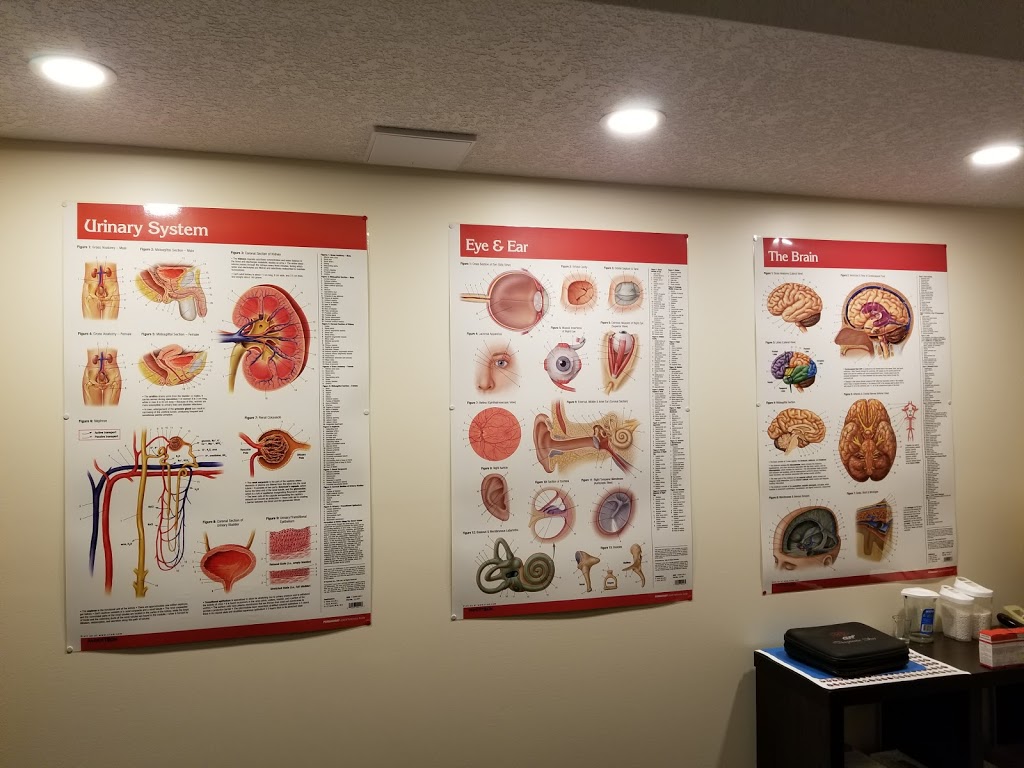 Shah Homeopathic Clinic | 307 Scott Blvd, Milton, ON L9T 0P4, Canada | Phone: (226) 929-9310