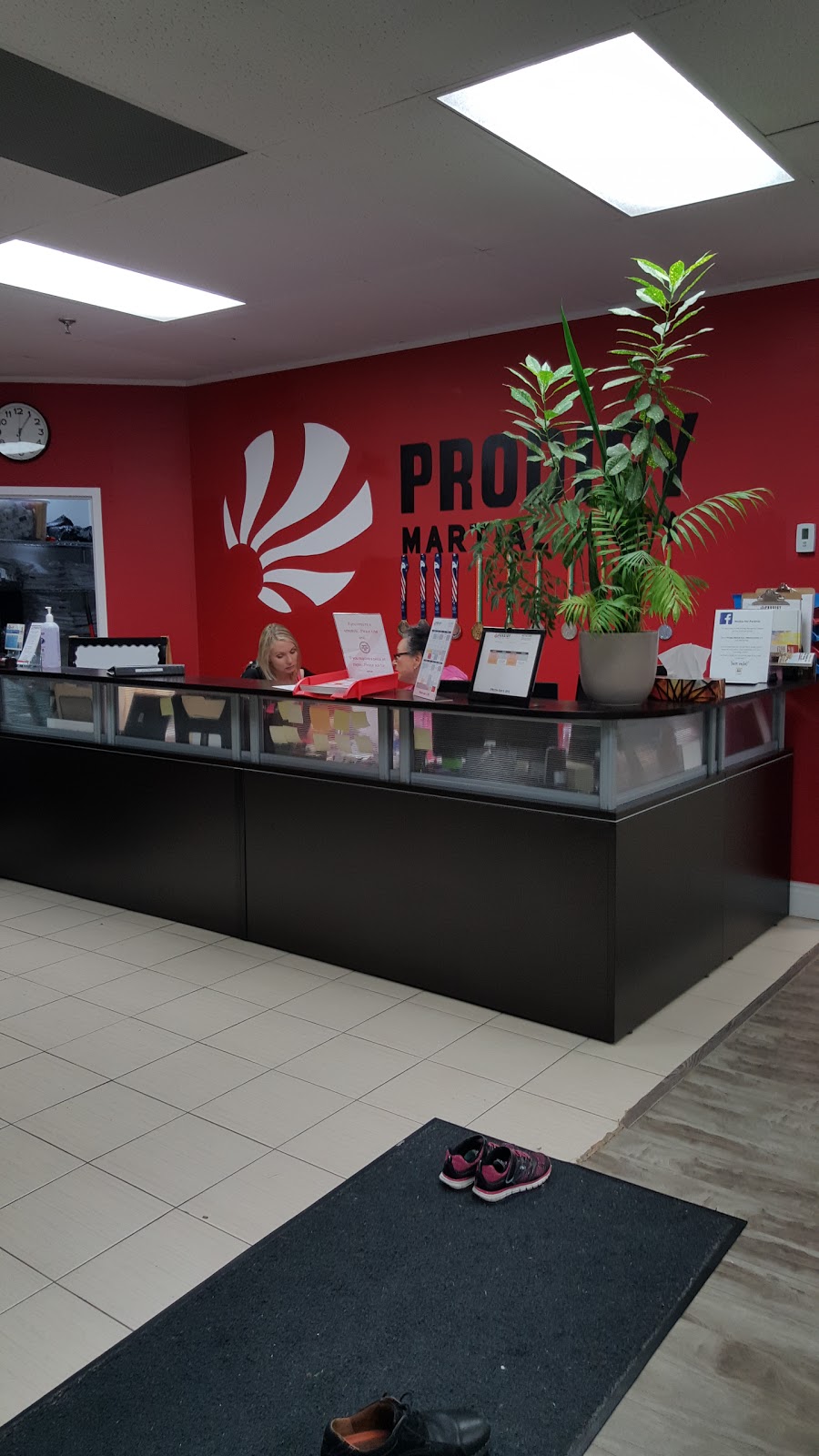 Prodigy Martial Arts | 6991 Millcreek Dr #1, Mississauga, ON L5N 6B9, Canada | Phone: (905) 542-3999