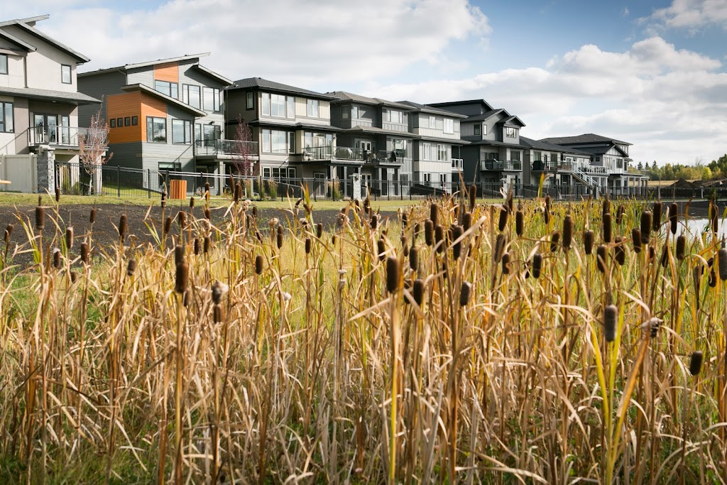 Avillia Developments Ltd. | 14127 23 Ave NW Suite 328, Edmonton, AB T6R 0G4, Canada | Phone: (780) 435-1388