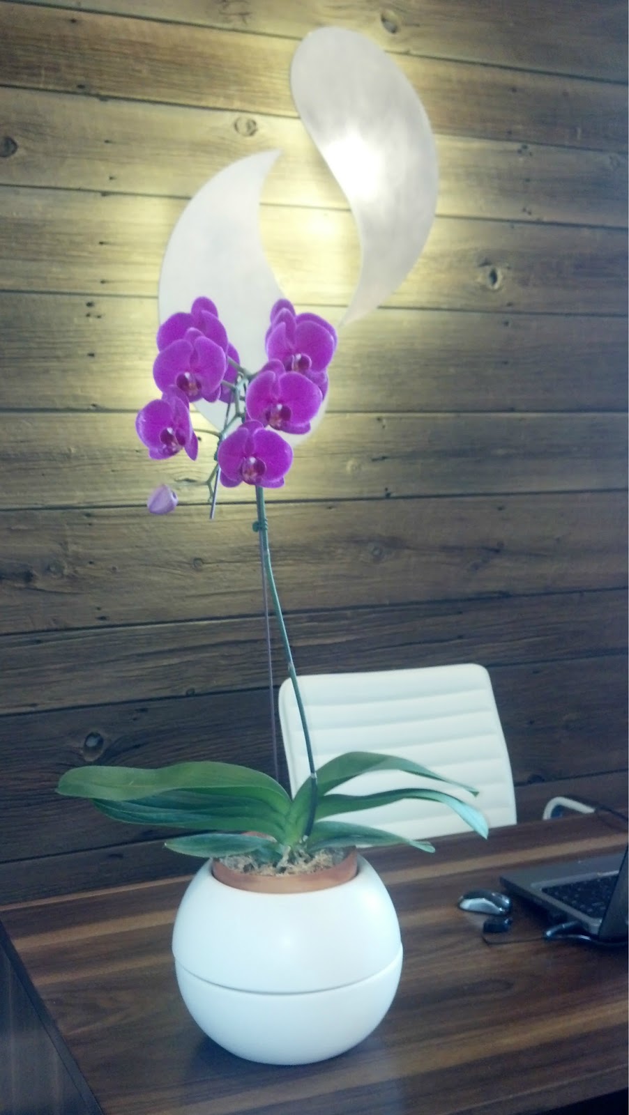 Concierge Dental Group, PLLC | 33 Melrose Rd, Williamsville, NY 14221, USA | Phone: (716) 391-2799