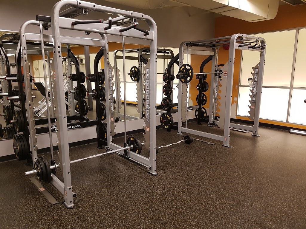 Fit4Less | 19800 Lougheed Hwy #201, Pitt Meadows, BC V3Y 2W1, Canada | Phone: (604) 460-0348