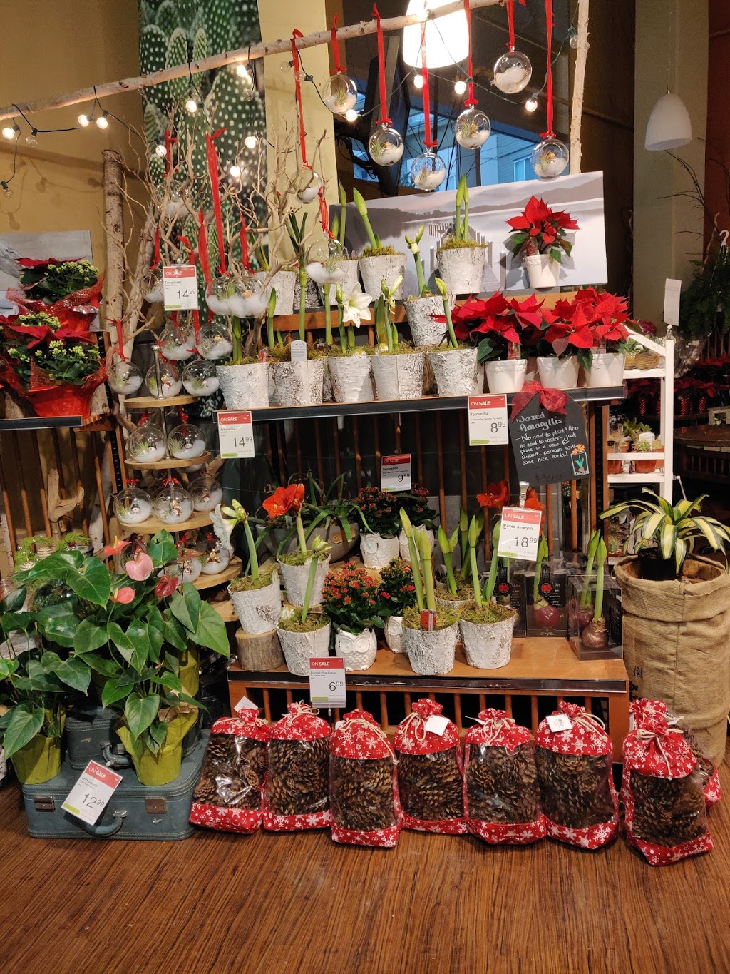 Thrifty Foods | 15745 Croydon Dr #102, Surrey, BC V3Z 2L5, Canada | Phone: (604) 542-7851