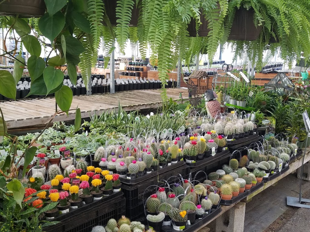 Garrys Garden Gallery | 5 Commerce Rd, Lindsay, ON K9V 5Y3, Canada | Phone: (705) 324-9574