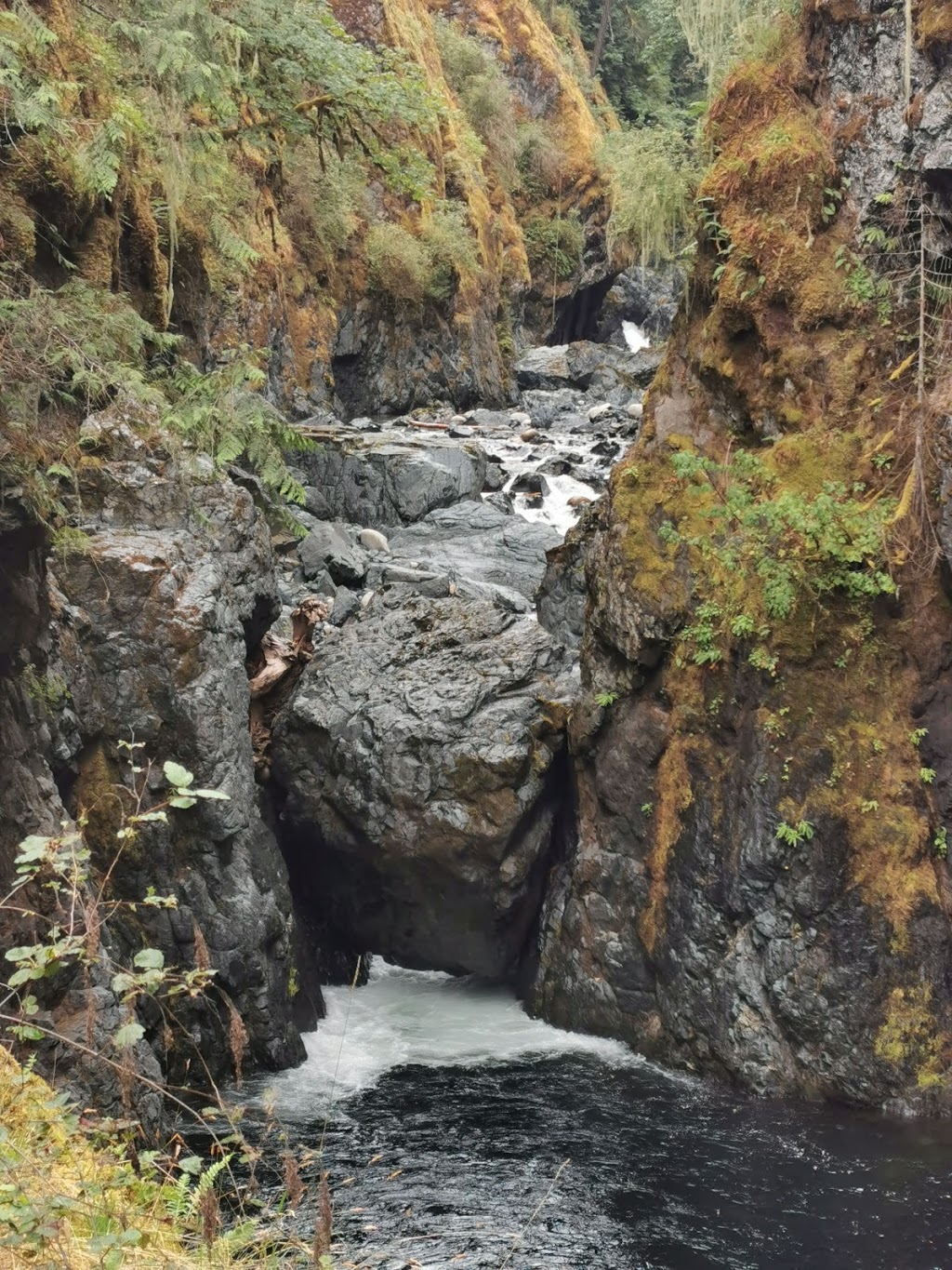 Englishman River Falls (Lower Falls) | Nanaimo F, BC V0R 1V0, Canada | Phone: (250) 474-1336