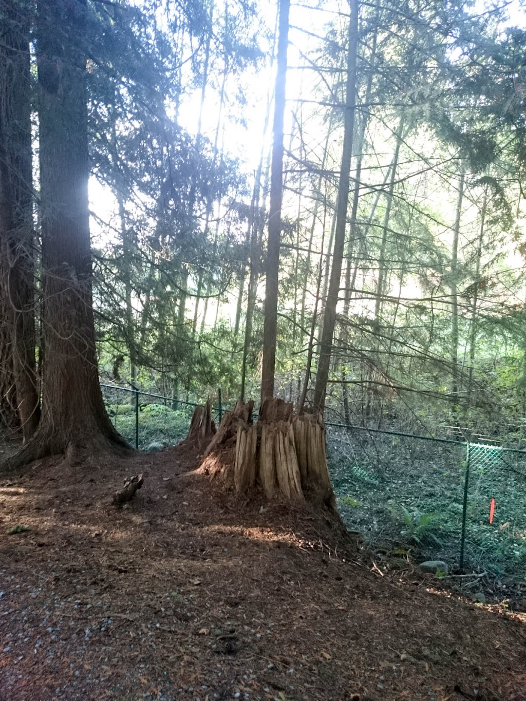 Trans Mountain Trail Start | 8650 Cinnamon Dr, Burnaby, BC V5A 4H7, Canada