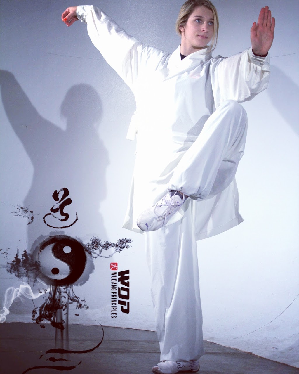 Wudang Principles - Kung Fu & Tai Chi | 24 Alexander St, Brampton, ON L6V 1H6, Canada | Phone: (647) 408-6004
