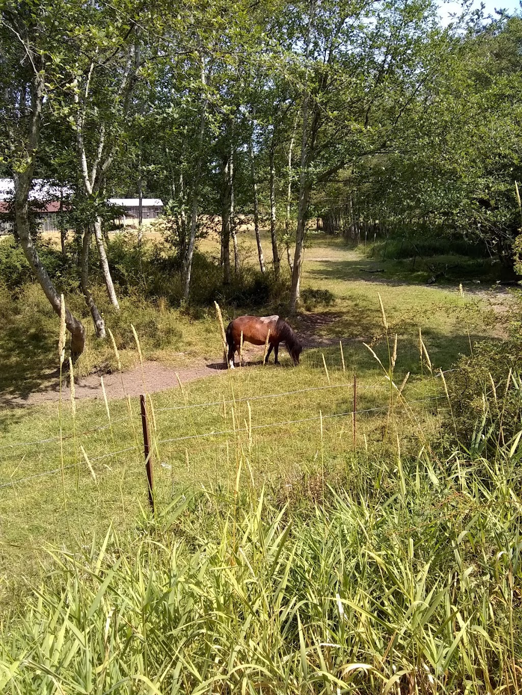 Buckhorn Farm | 17 Jensen Rd, Eastsound, WA 98245, USA | Phone: (360) 376-2298