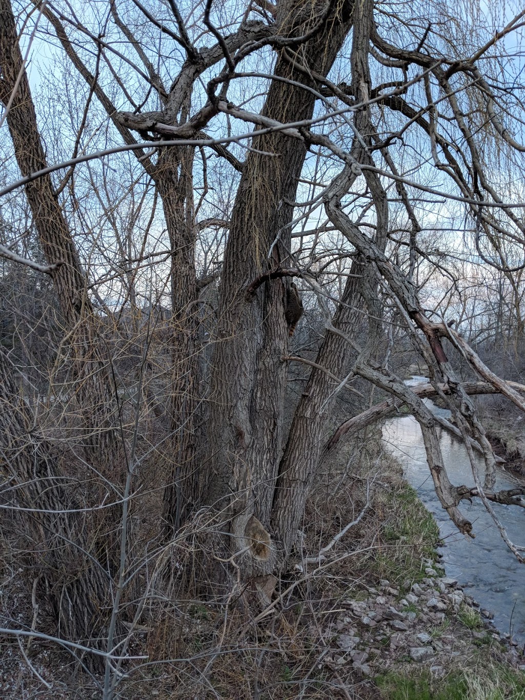 Spruce Park | Bronte, Oakville, ON L6L, Canada