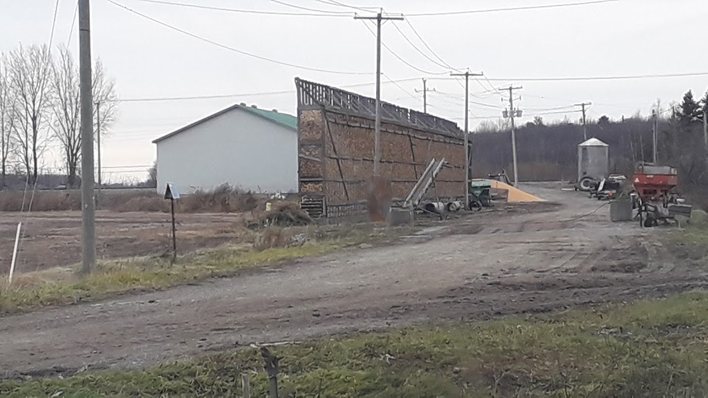 Ferme Cerpajo Enr | 158 Rang Charlotte, Saint-Liboire, QC J0H 1R0, Canada | Phone: (450) 793-2774