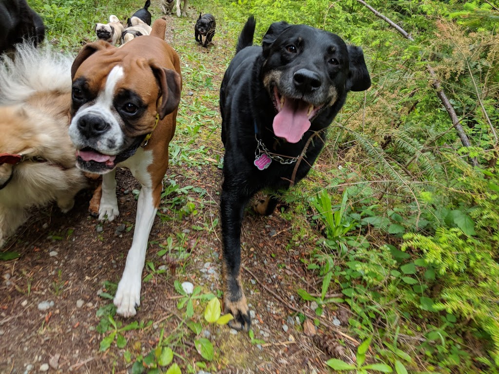 Just Doggin It Adventures Ltd. | 6611 Bear Lake Rd, Mesachie Lake, BC V0R 2N0, Canada | Phone: (250) 580-8364