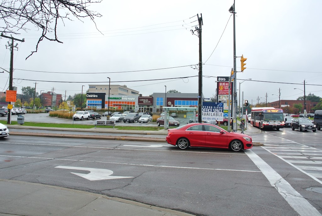 Don Valley Animal Hospital | 895 Lawrence Ave E, North York, ON M3C 3L2, Canada | Phone: (416) 441-3411