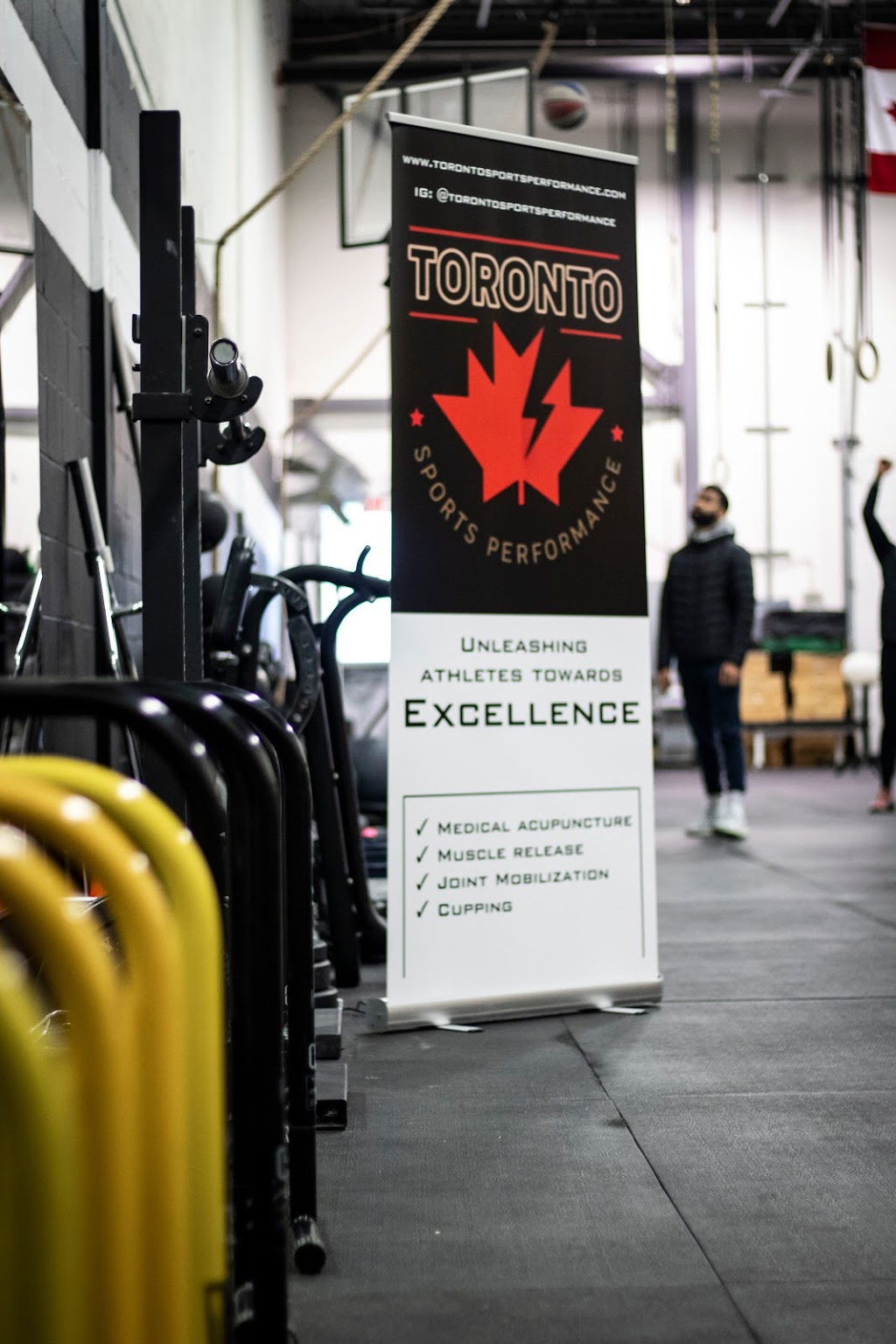 Toronto Sports Performance | 3-4190 Sladeview Crescent, Mississauga, ON L5L 0A1, Canada | Phone: (647) 687-5113