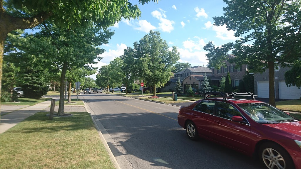 Pine Farm Park | 25 Ashfield Dr, Richmond Hill, ON L4E 2M1, Canada | Phone: (905) 771-8870