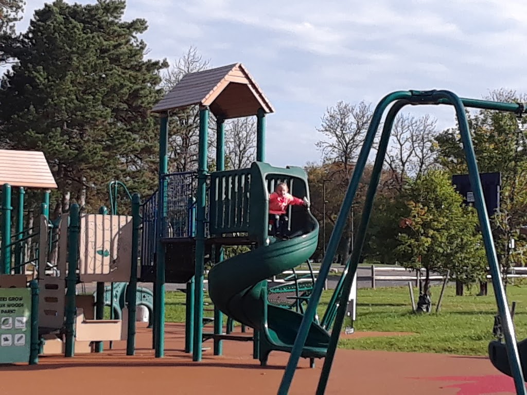 De Veaux Woods State Park | 3180 De Veaux Woods Dr E, Niagara Falls, NY 14305, USA | Phone: (716) 284-4691