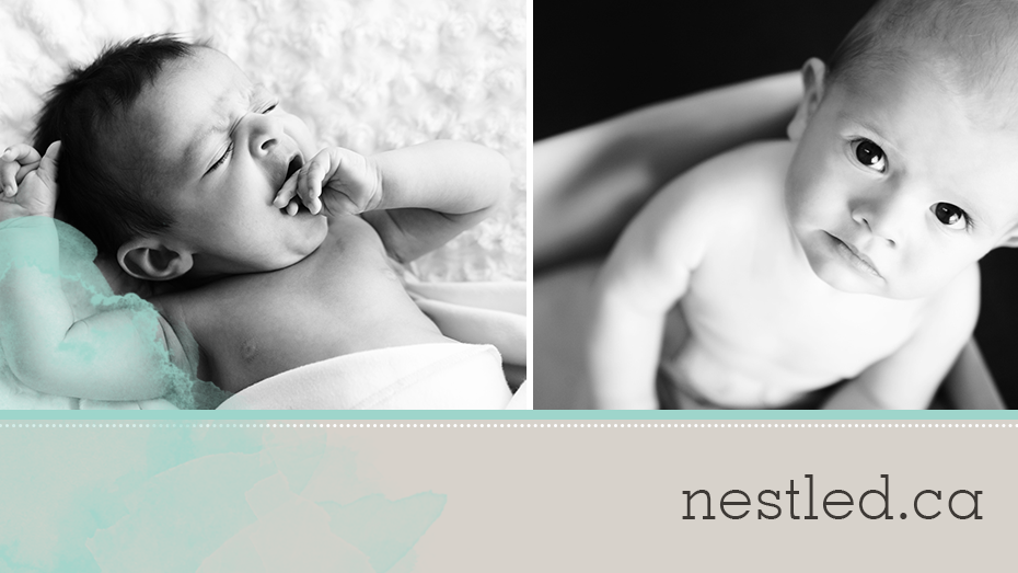 Nestled by Snuggle Bugz - Burlington | 3245 Fairview St Unit #2, Burlington, ON L7N 3L1, Canada | Phone: (905) 637-4546