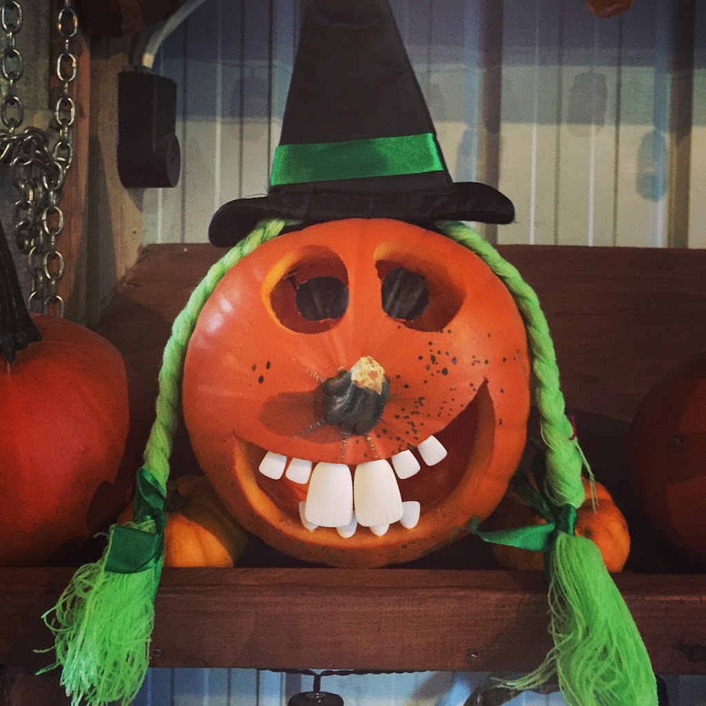 Schwabe Pumpkins | 1160 Meadowdale Rd, Saint Andrews, MB R1A 4H9, Canada | Phone: (204) 296-7215