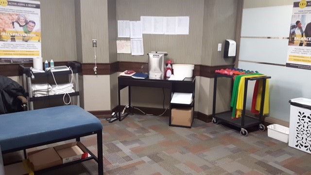 Pro Physio Active Aging & Rehab | 1145 Bridge St, Manotick, ON K4M 0G8, Canada | Phone: (613) 656-1930
