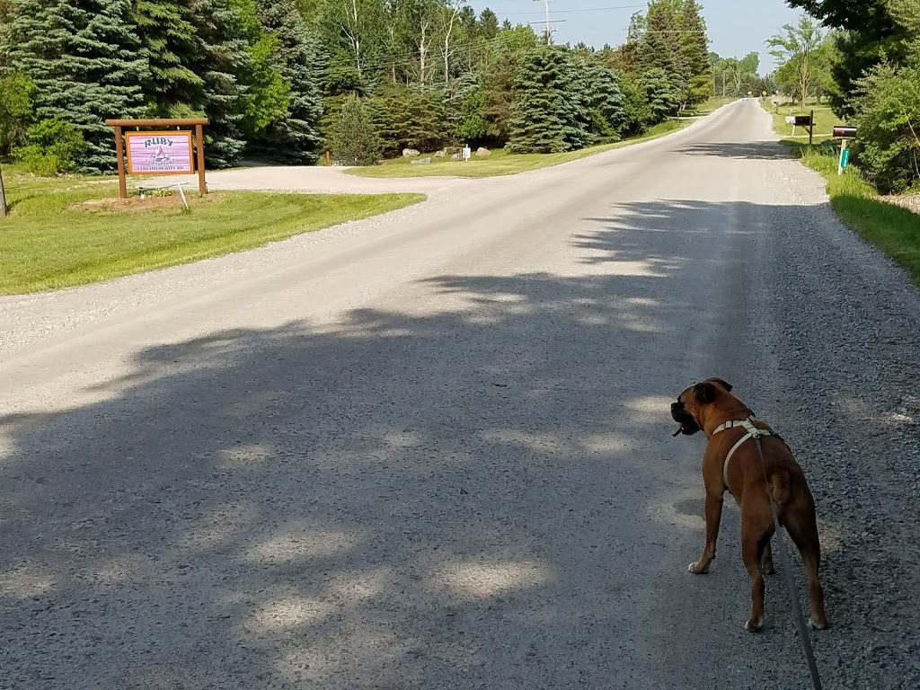 Ruby Campground | 7700 Imlay City Rd, Avoca, MI 48006, USA | Phone: (810) 324-2766