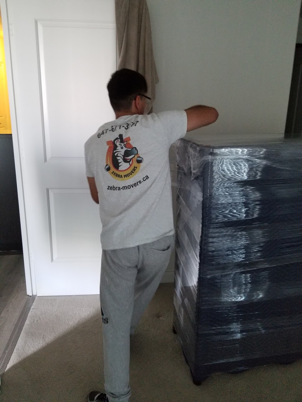 Zebra Movers Newmarket | 98 Jordanray Blvd, Newmarket, ON L3X 2P8, Canada | Phone: (905) 657-9207