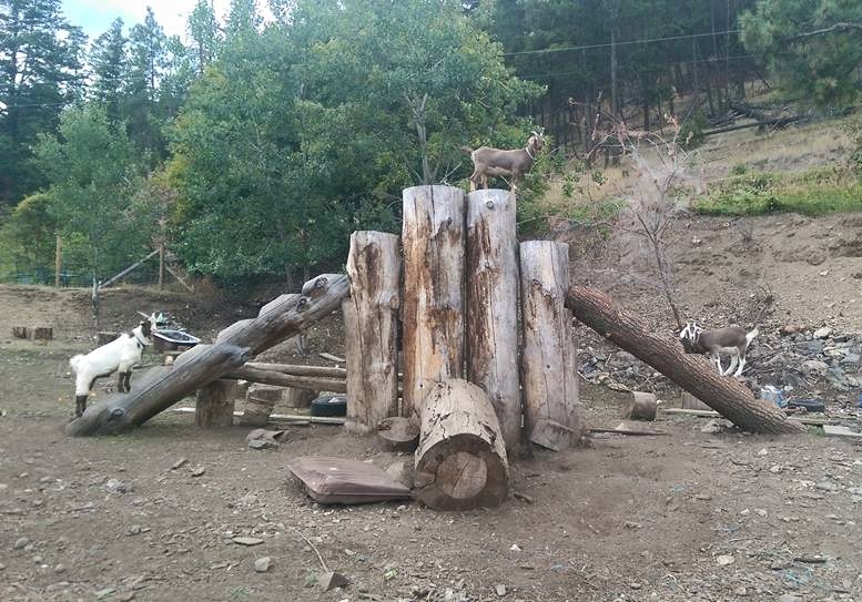 Ziggys Farmhouse @ Labyrinth Farm | 8133 Westsyde Rd, Kamloops, BC V2B 8S1, Canada | Phone: (604) 816-5577
