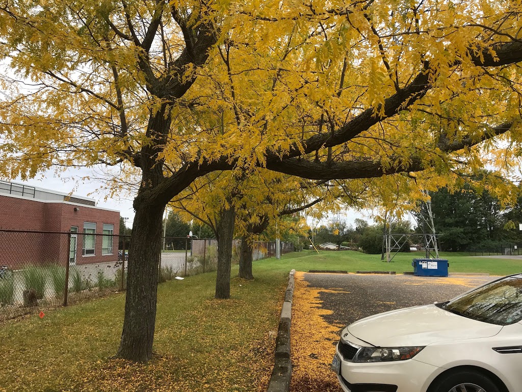 Meadowlands Public School | 10 Fieldrow St, Nepean, ON K2G 2Y7, Canada | Phone: (613) 224-1733