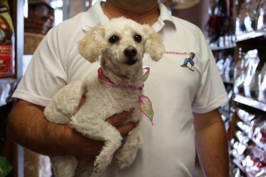 Animalerie Mamiwouff | 2046 QC-112, Saint-Césaire, QC J0L 1T0, Canada | Phone: (450) 469-4560