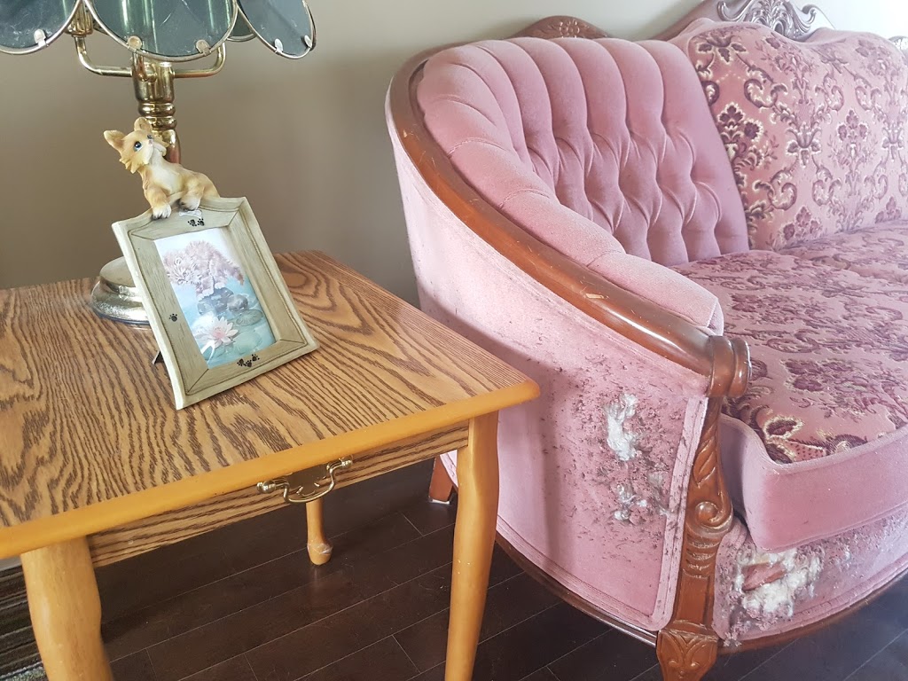Catwalk Bed and Breakfast | 98 Ridding Rd, Eastern Passage, NS B3G 0E2, Canada | Phone: (902) 407-2002