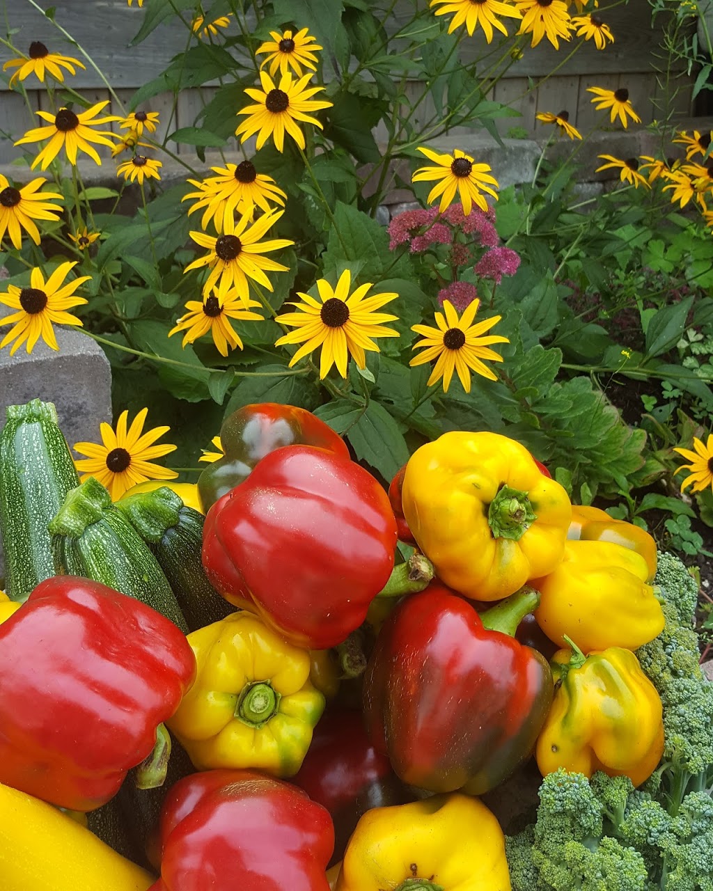 Aquatic Growers | 1330A Southwood Rd, Severn Bridge, ON P0E 1N0, Canada | Phone: (705) 238-6728
