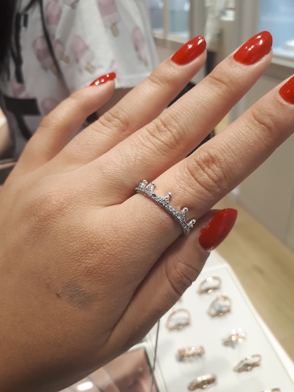 Pandora | 1800 Sheppard Ave E Unit 2015-A, North York, ON M2J 5A7, Canada | Phone: (416) 492-5777
