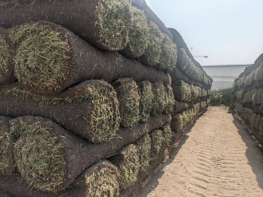 Manderley Turf Products Calgary | 3090 52 St SE, Calgary, AB T2B 1N2, Canada | Phone: (888) 225-3885 Manderley Turf Products Calgary | 3090 52 St SE, Calgary, AB T2B 1N2, Canada | Phone: (888) 225-3885