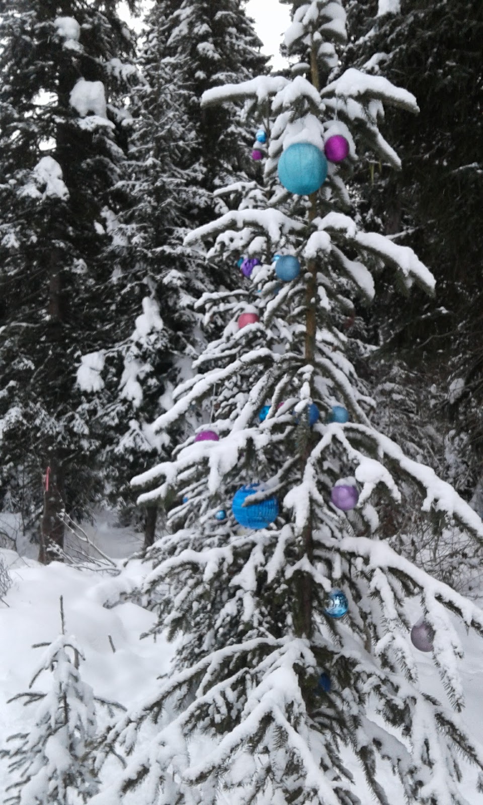 Tourism Sun Peaks | 3250 Village Way, Sun Peaks, BC V0E 5N0, Canada | Phone: (250) 578-5399