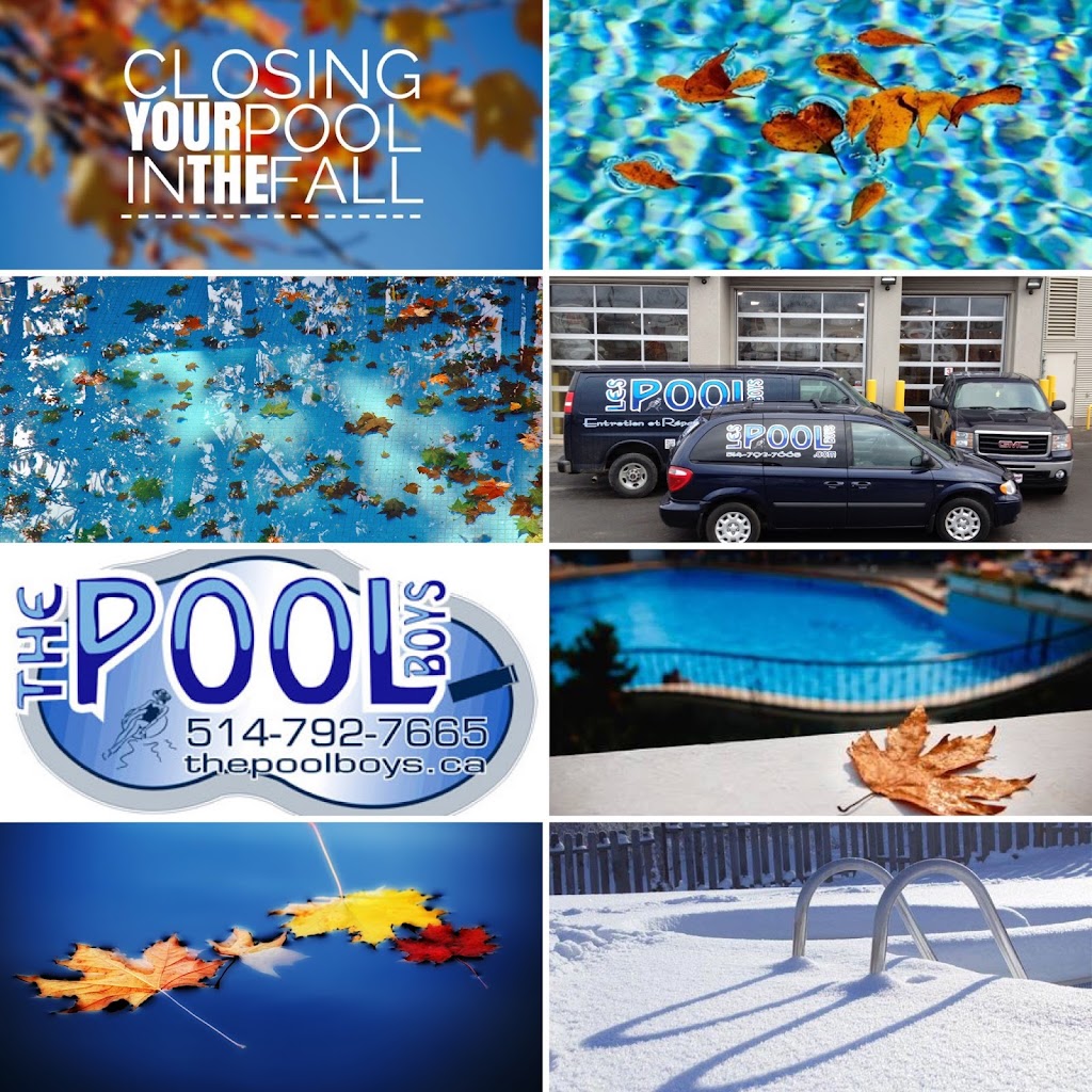 The Pool Boys | 18970 Route Transcanadienne, Baie-dUrfé, QC H9X 3R1, Canada | Phone: (514) 792-7665