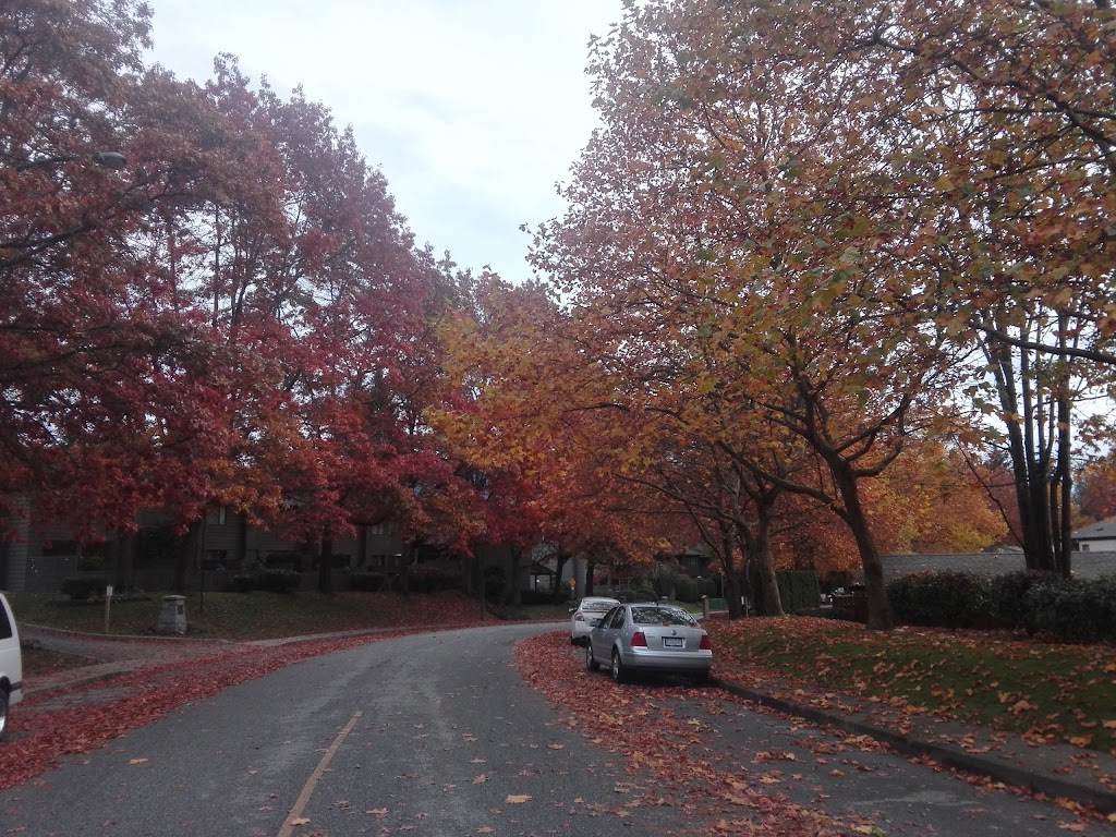 Cedar Village Projectcare | 1866 Rufus Dr, North Vancouver, BC V7J 3L7, Canada | Phone: (604) 833-9642