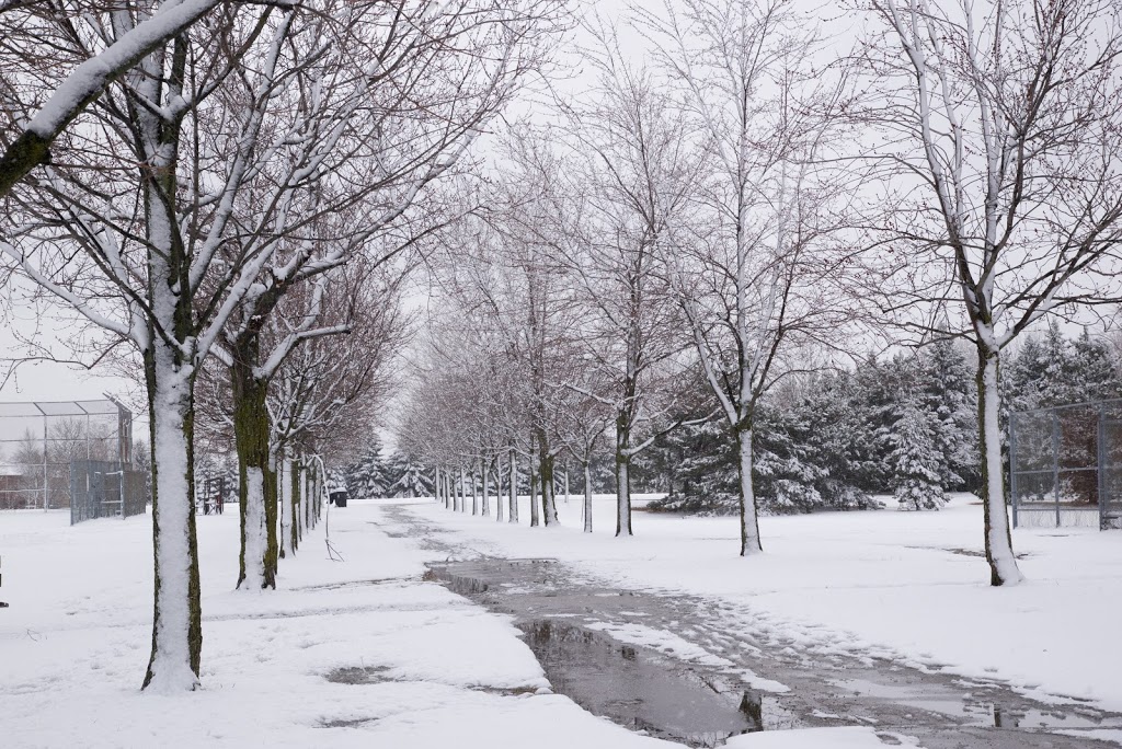 Goldhawk Park | 250 Goldhawk Trail, Scarborough, ON M1V 3W8, Canada | Phone: (416) 396-8964