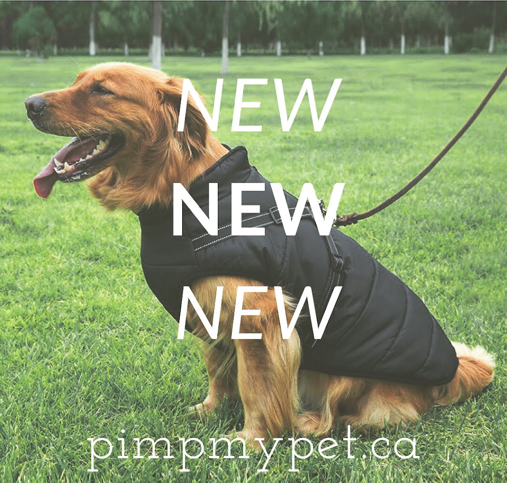 Pimp My Pet Canada | 143 Glendora Ave, North York, ON M2N 2W3, Canada | Phone: (647) 667-1807