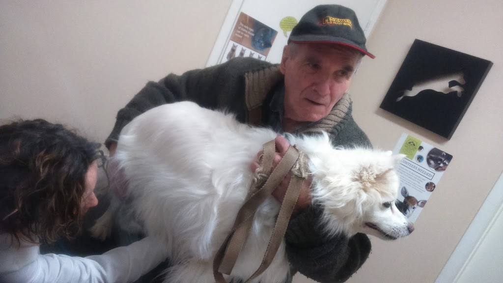 High County Veterinary Hospital | 219 First Ave E, Shelburne, ON L9V 3J9, Canada | Phone: (519) 925-6540