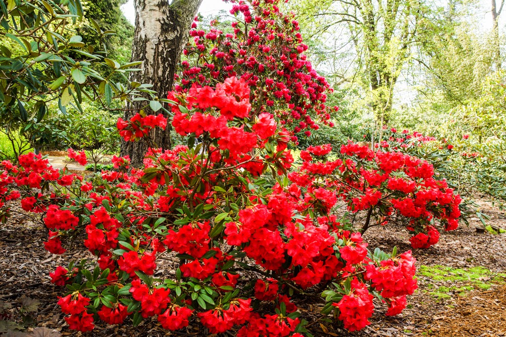 Century Gardens | Burnaby, BC V5G 2J3, Canada