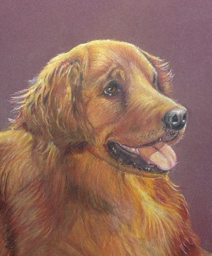 patmitchellstudio.com | 619 Alder St W, Dunnville, ON N1A 1S4, Canada | Phone: (289) 518-0151