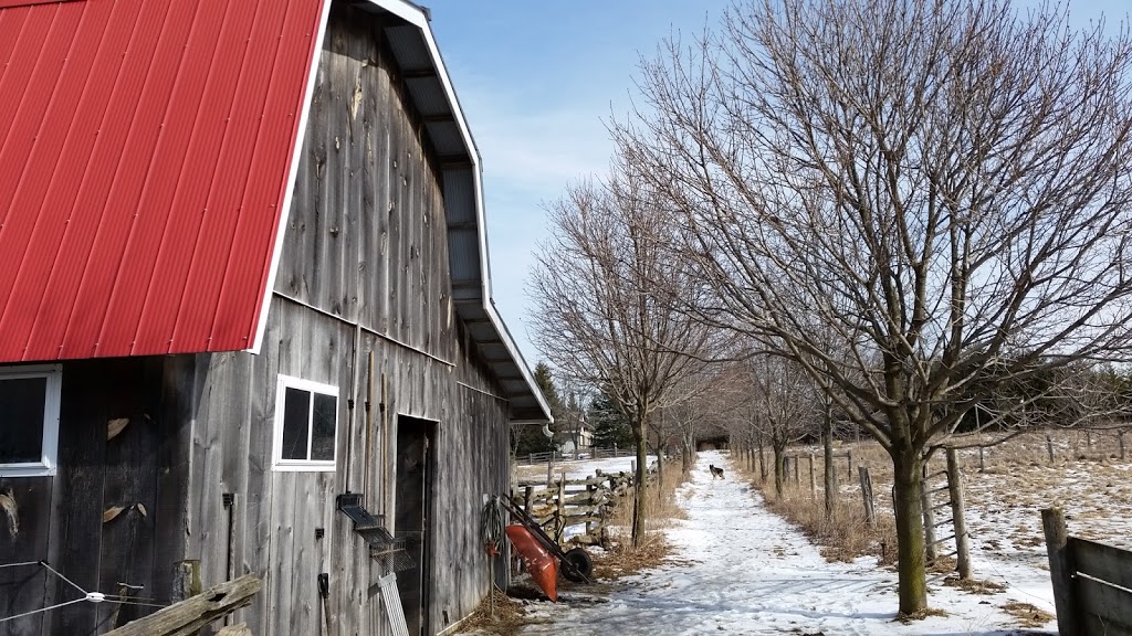 Harden Environmental Services Ltd | 4622 Nassagaweya-Puslinch Townline, Moffat, ON L0P 1J0, Canada | Phone: (519) 826-0099