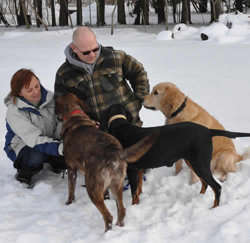 Tail Waggin Dog Ranch | 20676 Muncey Rd, Muncey, ON N0L 1Y0, Canada | Phone: (519) 264-0951