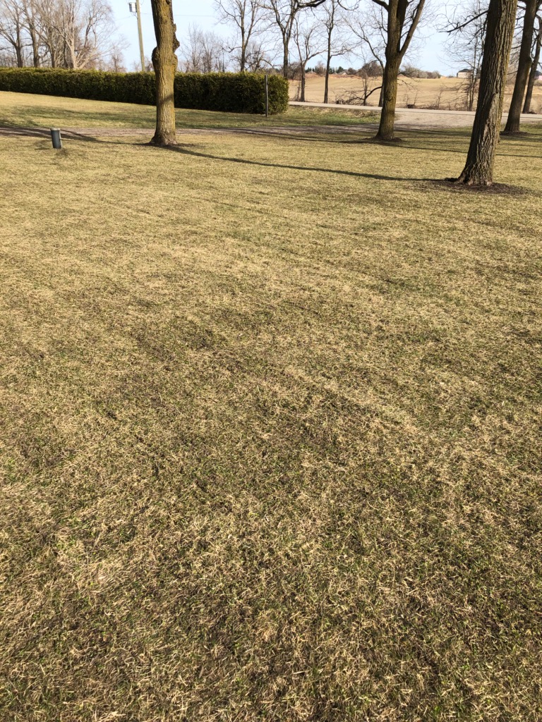 Harolds Lawn Grooming | 1278 Christner Rd, New Hamburg, ON N3A 3K6, Canada | Phone: (519) 241-1864