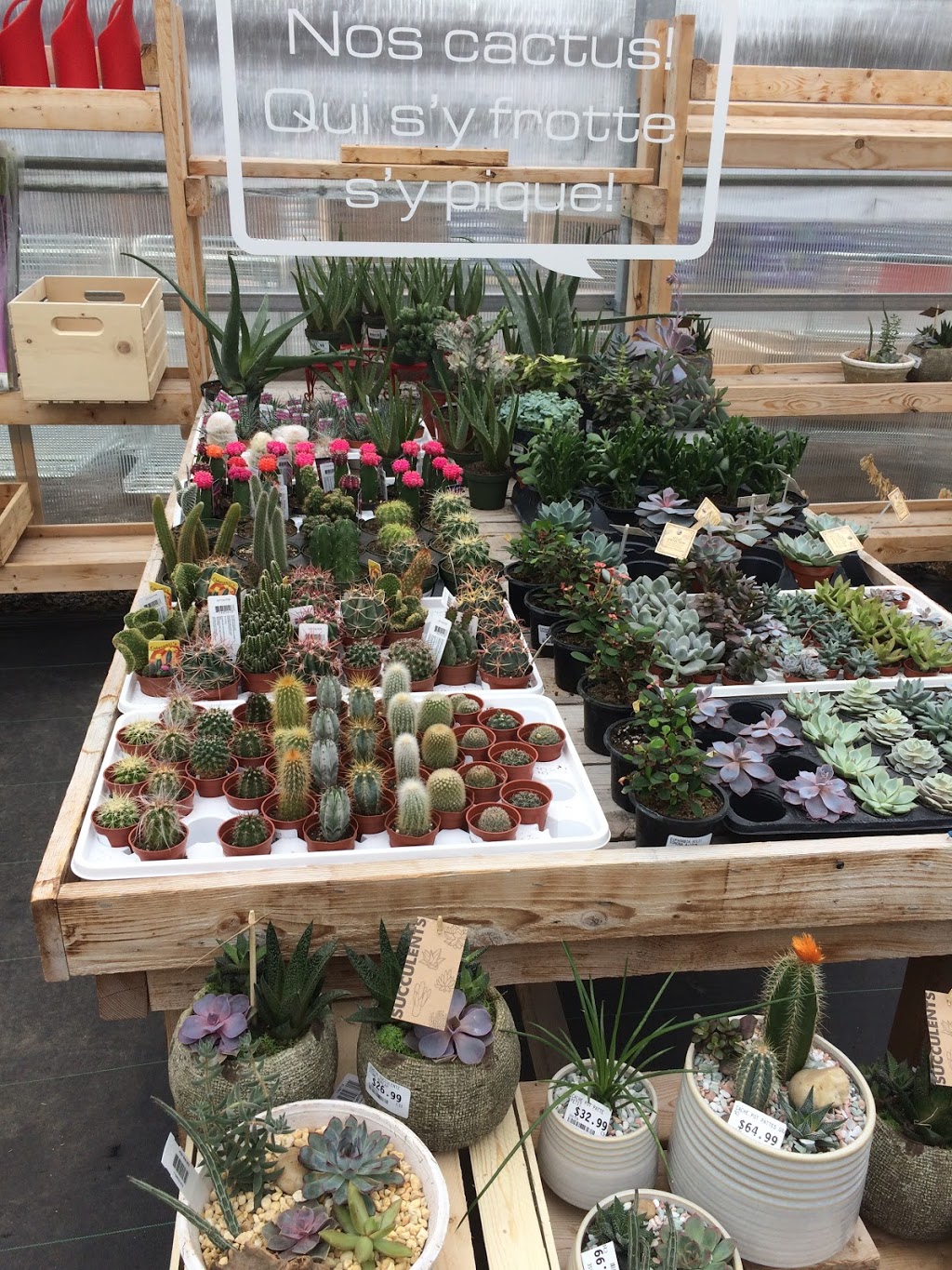 Botanix Faucher Plantes & Pavés Bromont | 15 Chemin des Carrières, Bromont, QC J2L 1S1, Canada | Phone: (450) 534-0033