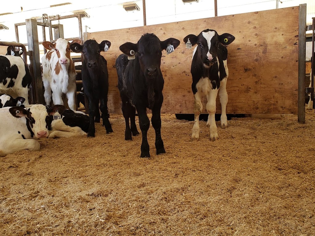 Ferme Mathieu St-Onge & Fils Inc. | 1434 Chem. Teafield, Godmanchester, QC J0S 1H0, Canada | Phone: (450) 288-2970