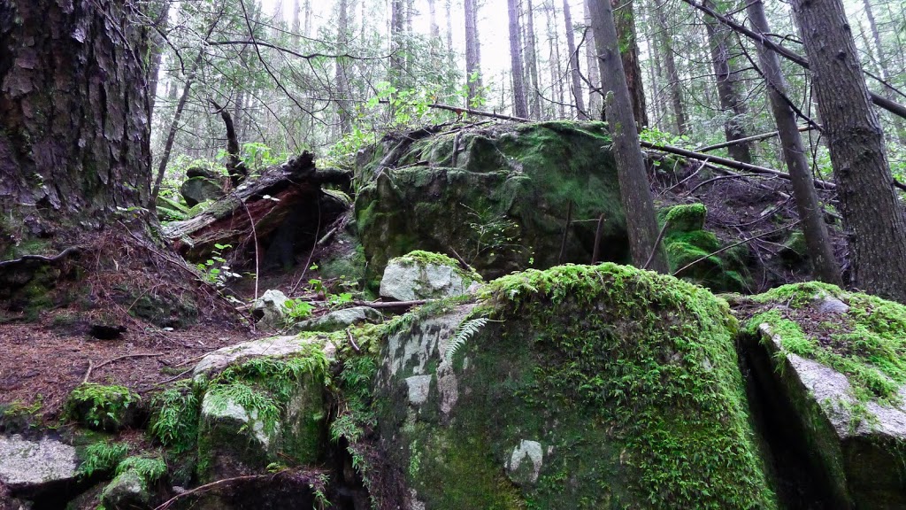 Whyte Lake Trail | West Vancouver, BC V0N 1G0, Canada | Phone: (604) 925-7275