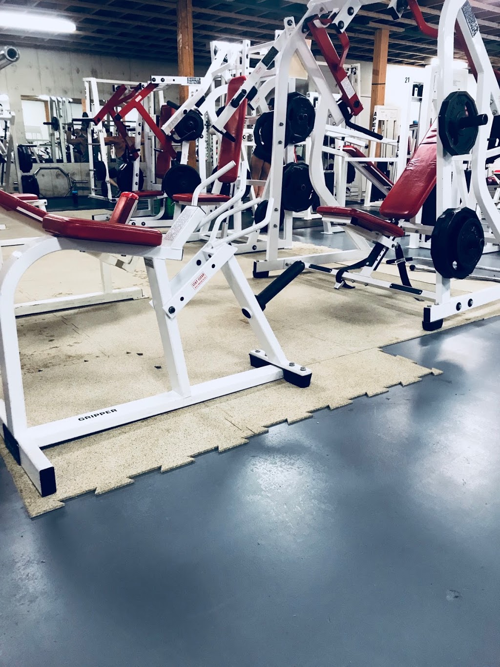 Lakeside Fitness | 4113 Squilax-Anglemont Rd, Scotch Creek, BC V0E 1M5, Canada | Phone: (250) 955-6211