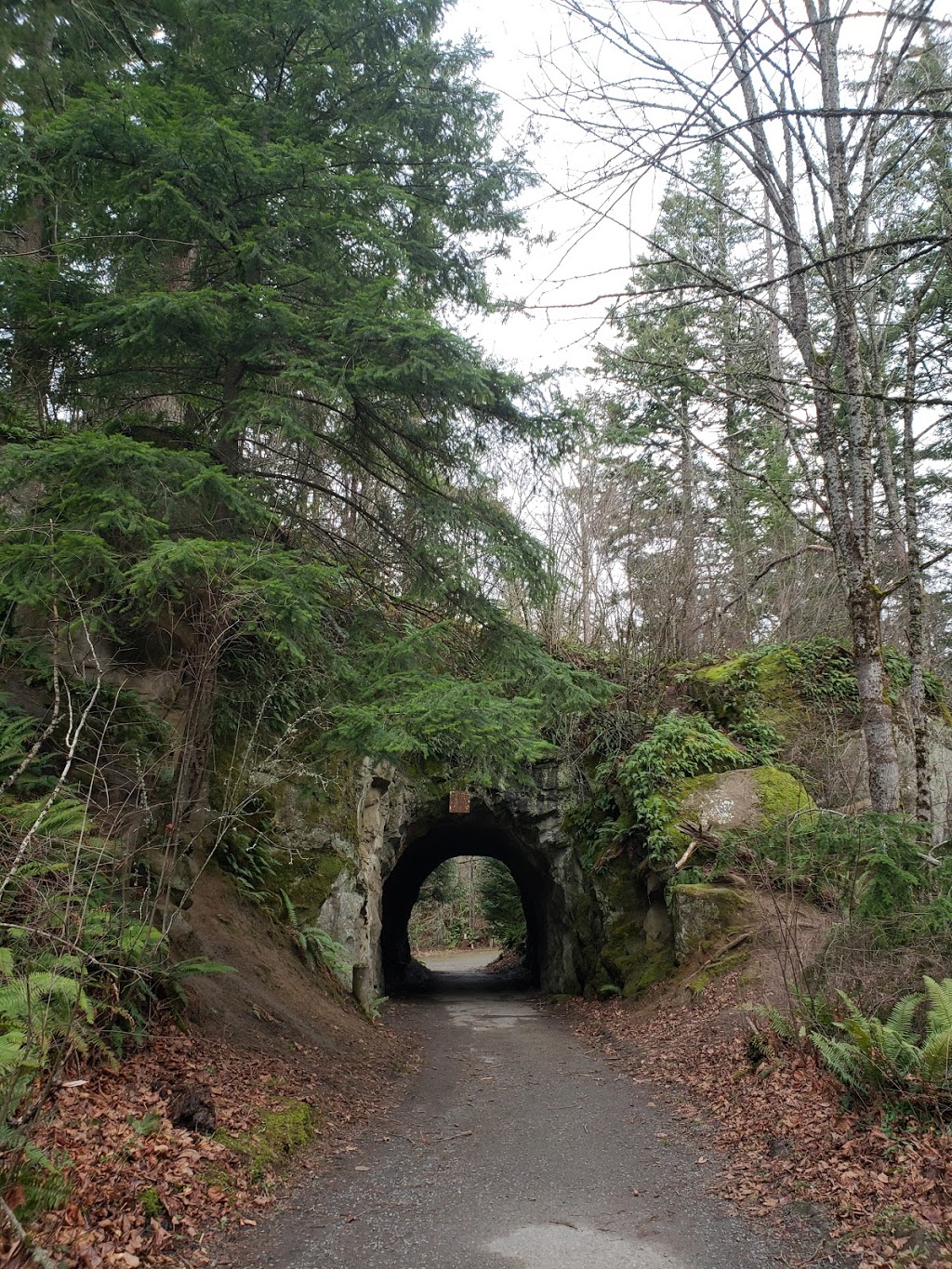 Arboretum Forest | Douglas Fir Trail, Bellingham, WA 98225, USA | Phone: (360) 778-7000