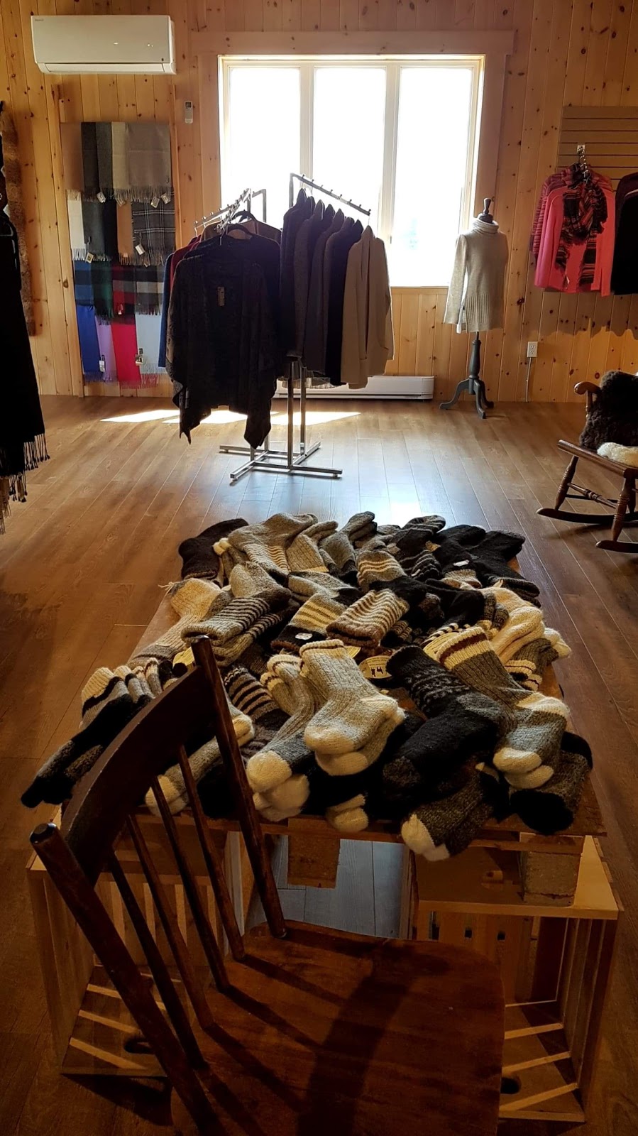 Les Alpagas de la Ferme Norli | 160 Route Pierre Laporte, Bromont, QC J2L 2V8, Canada | Phone: (450) 534-2305