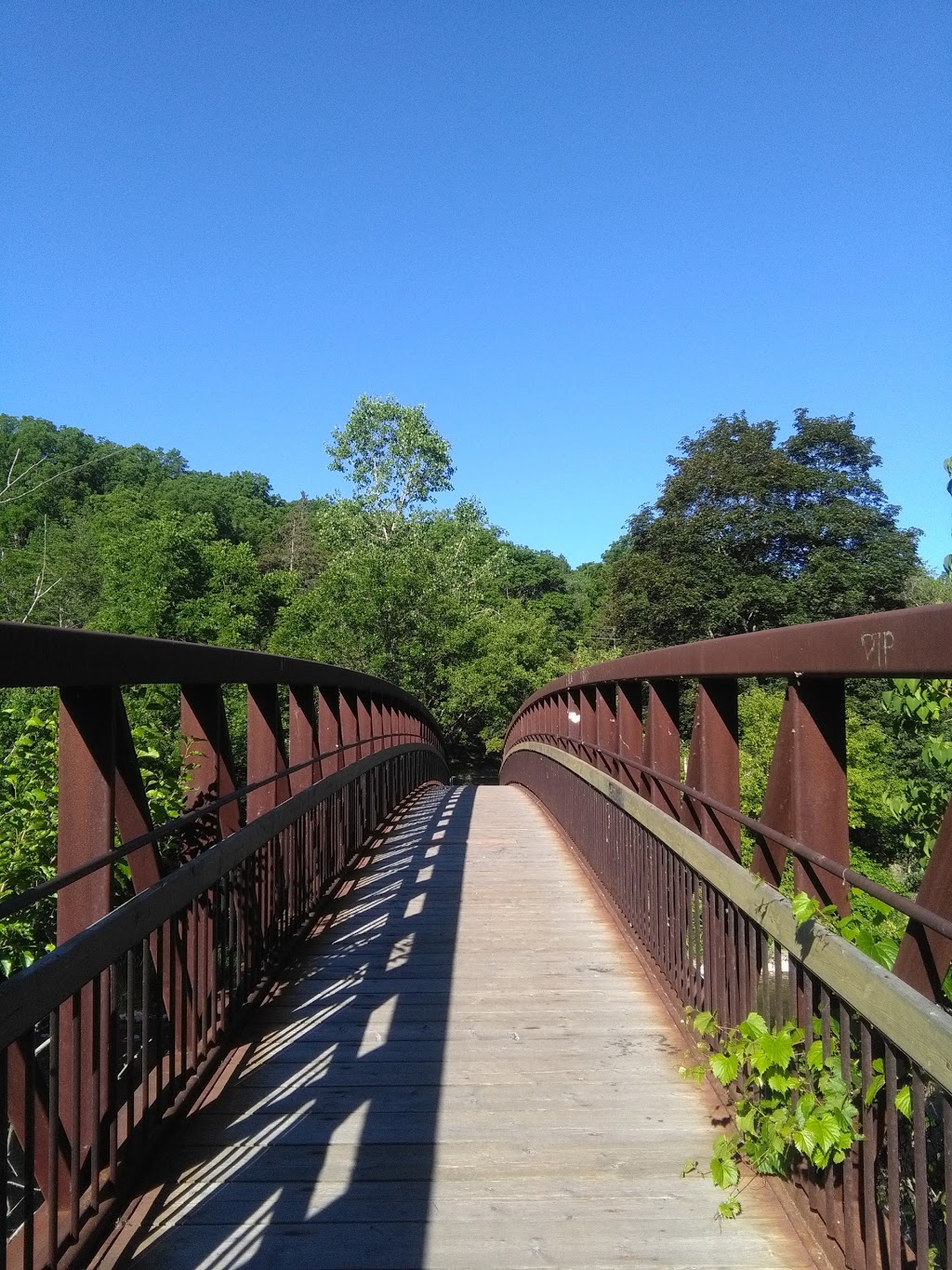 Lions Park | 36-96 Laurel St, Paris, ON N3L 3L8, Canada