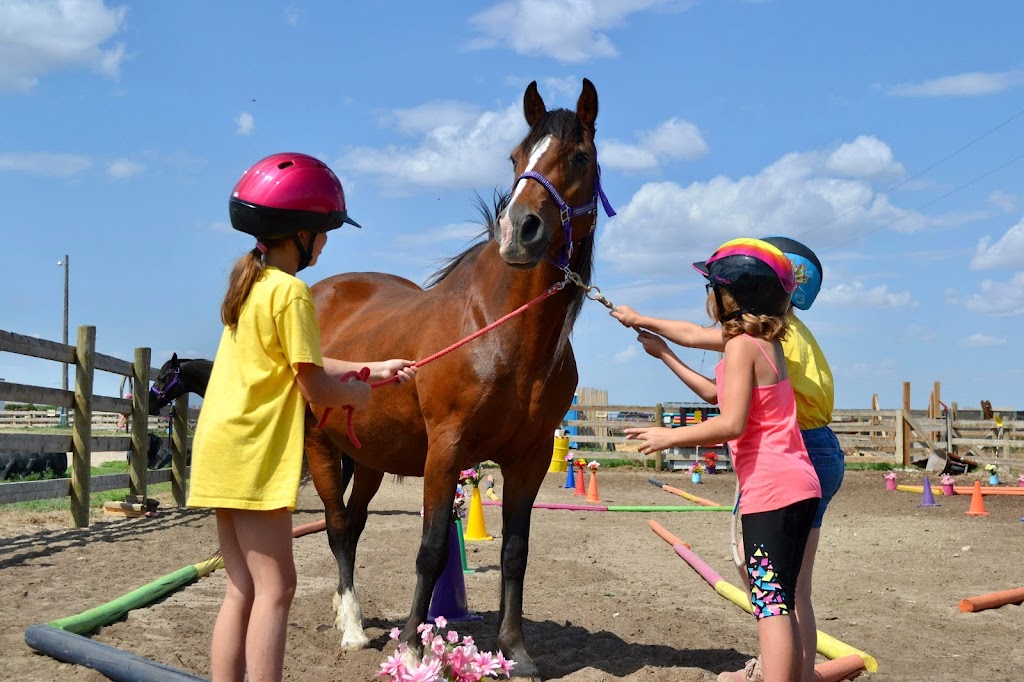 Feather Ranch Equine | Range Rd 163, Taber, AB T1G 2E1, Canada | Phone: (403) 331-9203